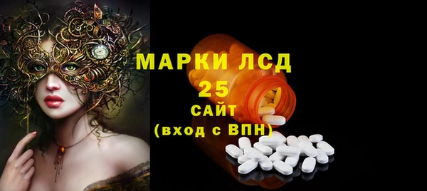 индика Балахна