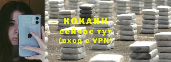 индика Балахна