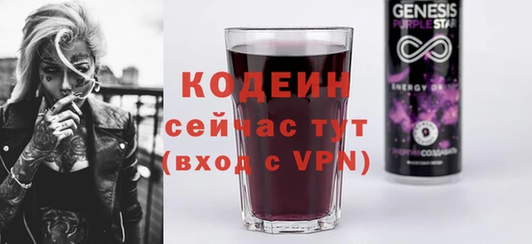индика Балахна