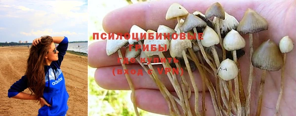 Альфа ПВП Баксан