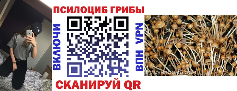 Купить  Дегтярск  Псилоцибиновые грибы мицелий 